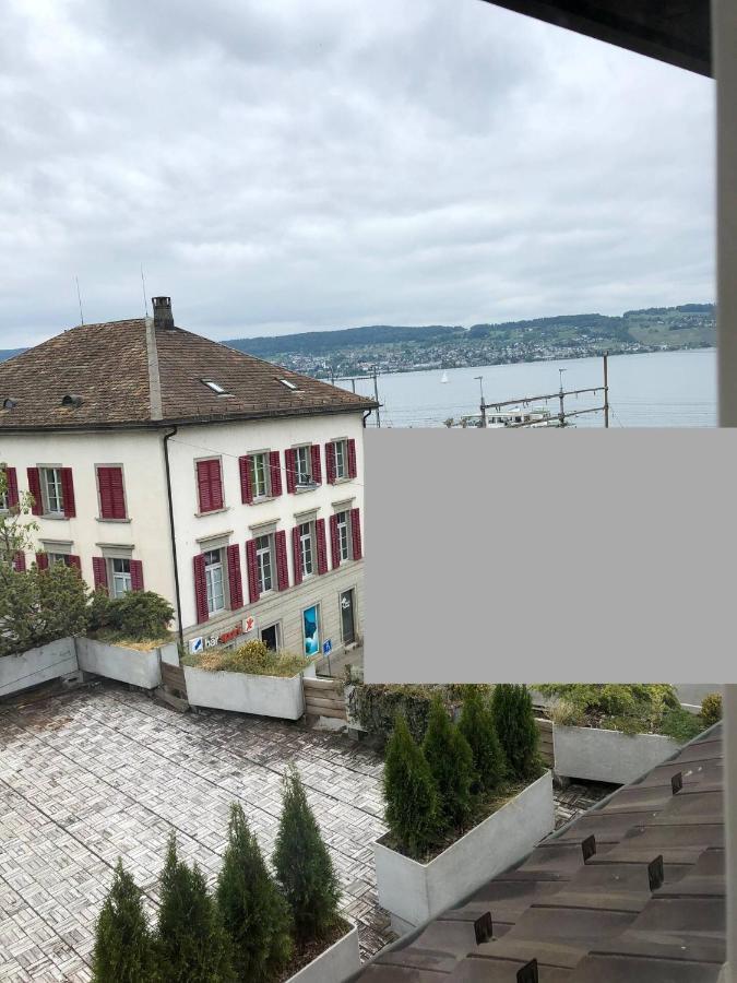 Wadenswil 3 Zimmer Wohnung Genau Beim Zurichsee 外观 照片