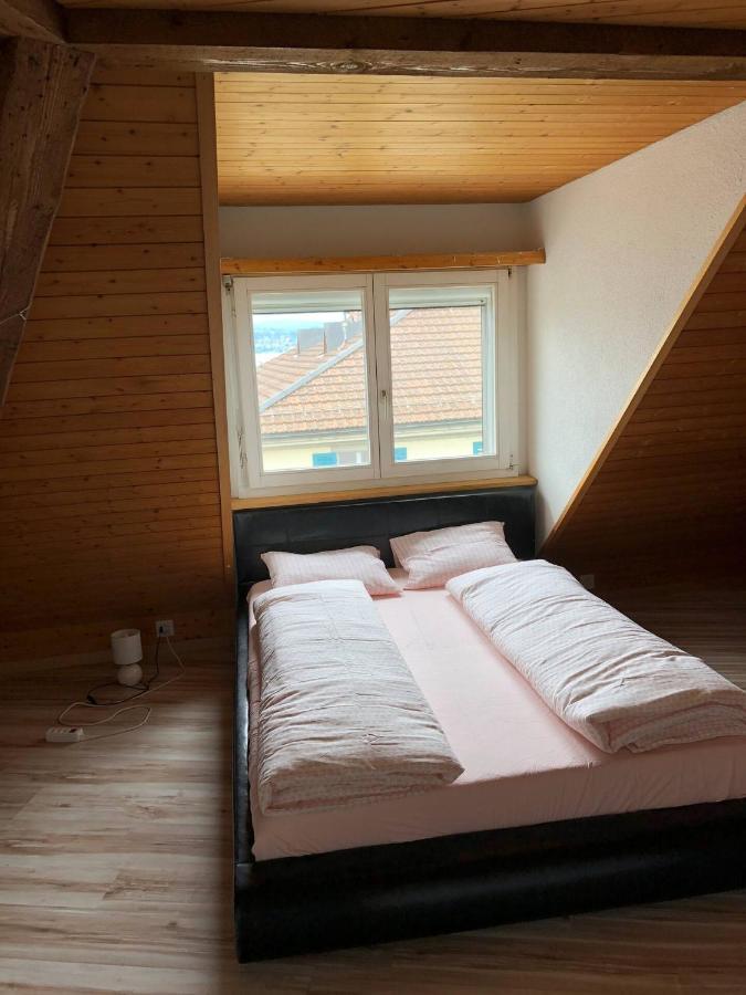 Wadenswil 3 Zimmer Wohnung Genau Beim Zurichsee 外观 照片